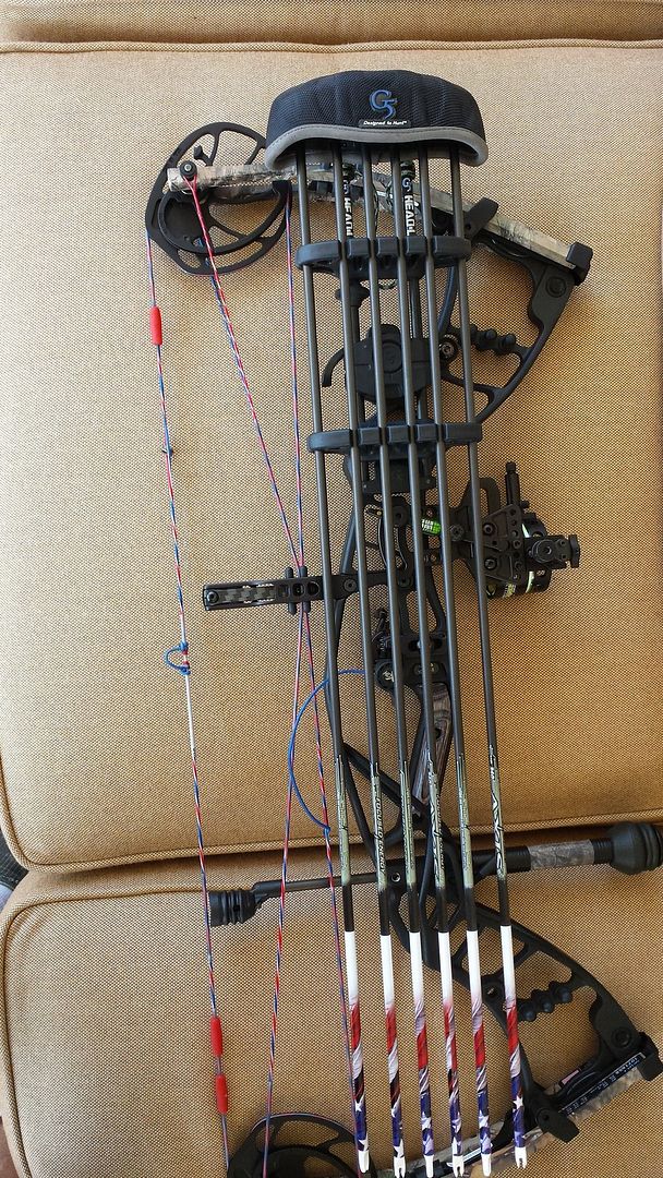 What riser mounted quiver for Nitrum 30 ? With HHA style sight